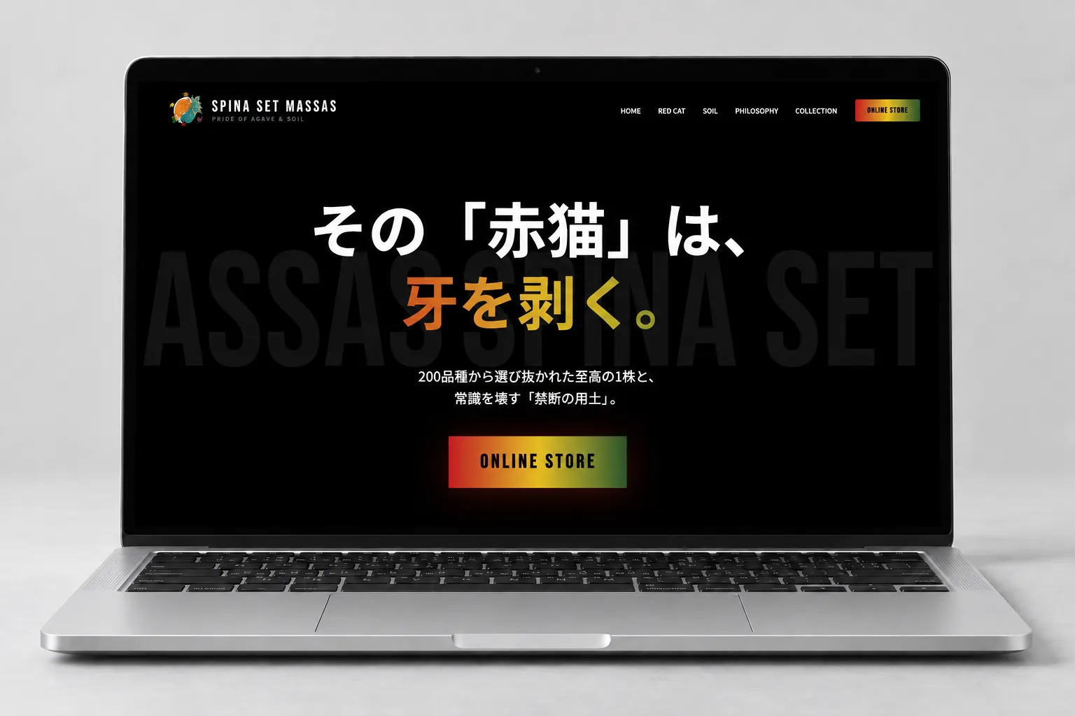 棘と塊様モックアップ